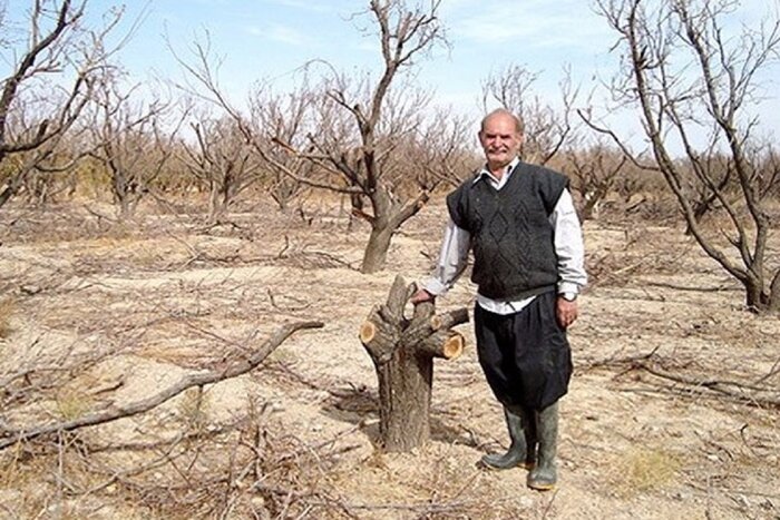 خسارت میلیاردی به کشاورزی خراسان جنوبی؛ تیغ خشکسالی بُرندهتر شد