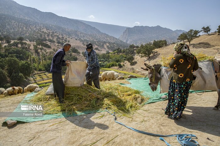 ۹۶ درصد اعتبارات قائمشهر به مناطق روستایی اختصاص یافت