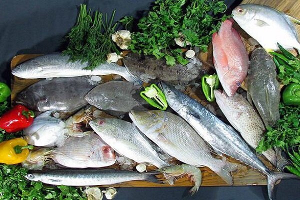 گزارشی از بندرعباس؛ ماهیهای محبوب خلیج فارس + فیلم