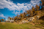 Autumn beauties of northern Iran