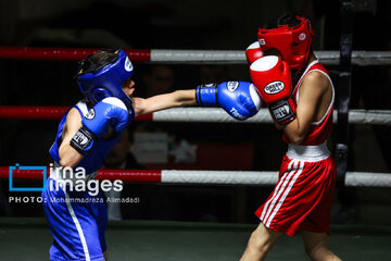 Kids boxing event in Iran