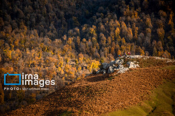 Autumn beauties of northern Iran