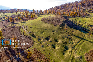 Autumn beauties of northern Iran