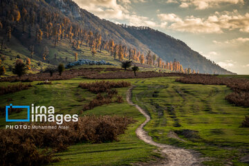 Autumn beauties of northern Iran