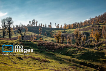 Autumn beauties of northern Iran