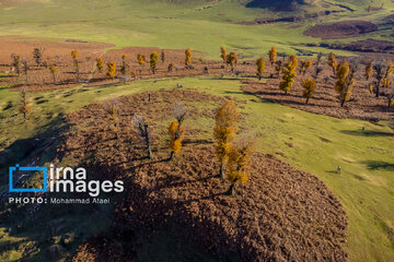 Autumn beauties of northern Iran