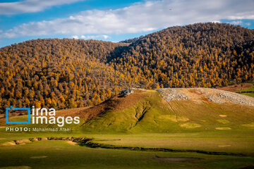 Autumn beauties of northern Iran