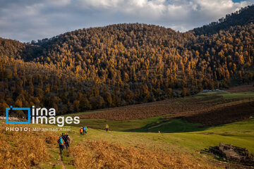 Autumn beauties of northern Iran