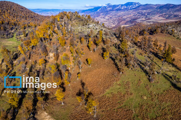 Autumn beauties of northern Iran