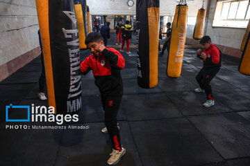 Le Festival Boxe pour enfants, une boxe éducative pour  renforcer la confiance