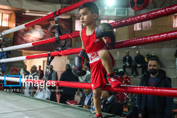 Le Festival Boxe pour enfants, une boxe éducative pour  renforcer la confiance