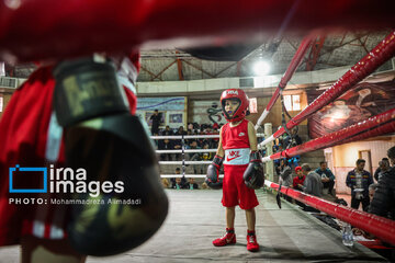 Le Festival Boxe pour enfants, une boxe éducative pour  renforcer la confiance