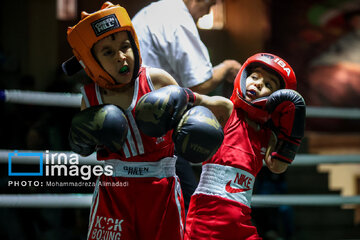 Le Festival Boxe pour enfants, une boxe éducative pour  renforcer la confiance