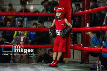 Le Festival Boxe pour enfants, une boxe éducative pour  renforcer la confiance