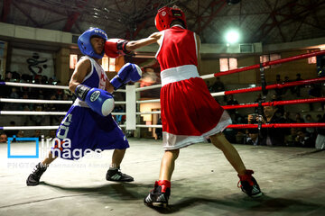 Le Festival Boxe pour enfants, une boxe éducative pour  renforcer la confiance