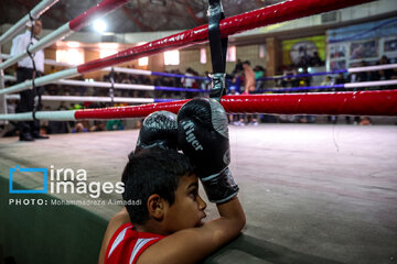 Le Festival Boxe pour enfants, une boxe éducative pour  renforcer la confiance