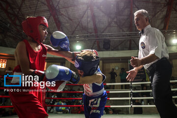 Le Festival Boxe pour enfants, une boxe éducative pour  renforcer la confiance