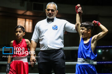 Le Festival Boxe pour enfants, une boxe éducative pour  renforcer la confiance