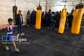 La segunda etapa del Festival de Boxeo Infantil en Teherán