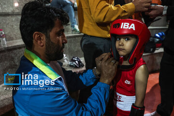 La segunda etapa del Festival de Boxeo Infantil en Teherán