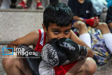 La segunda etapa del Festival de Boxeo Infantil en Teherán