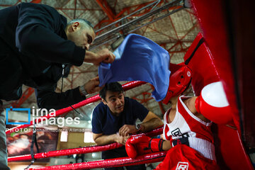 La segunda etapa del Festival de Boxeo Infantil en Teherán