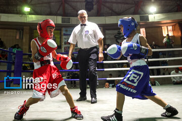 La segunda etapa del Festival de Boxeo Infantil en Teherán