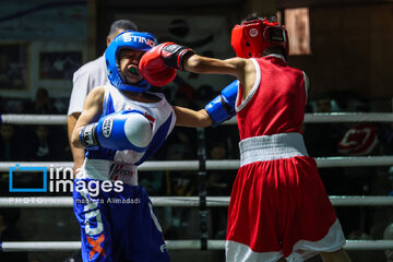 La segunda etapa del Festival de Boxeo Infantil en Teherán