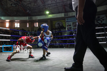 La segunda etapa del Festival de Boxeo Infantil en Teherán