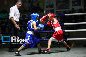 La segunda etapa del Festival de Boxeo Infantil en Teherán