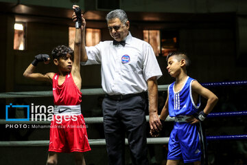 La segunda etapa del Festival de Boxeo Infantil en Teherán