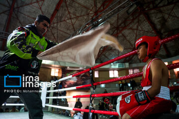 La segunda etapa del Festival de Boxeo Infantil en Teherán