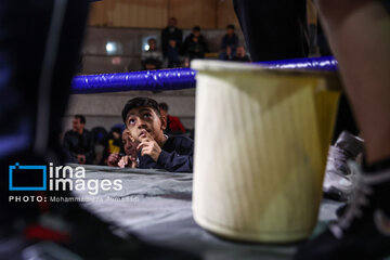 La segunda etapa del Festival de Boxeo Infantil en Teherán