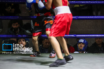 La segunda etapa del Festival de Boxeo Infantil en Teherán