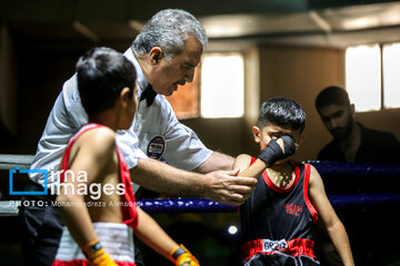 La segunda etapa del Festival de Boxeo Infantil en Teherán