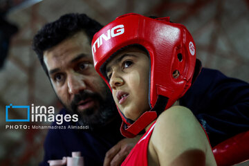 La segunda etapa del Festival de Boxeo Infantil en Teherán