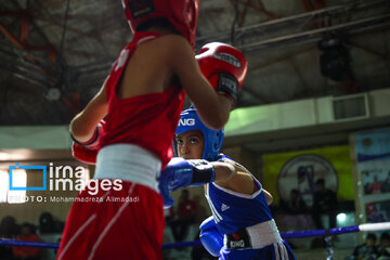 La segunda etapa del Festival de Boxeo Infantil en Teherán