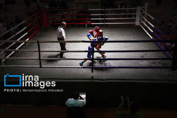 La segunda etapa del Festival de Boxeo Infantil en Teherán