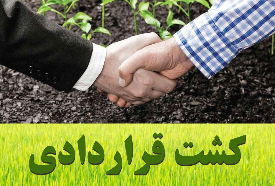 وزارت جهاد کشاورزی از اجرا و توسعه کشت قراردادی توسط بخش خصوصی حمایت می کند وزارت جهاد کشاورزی از اجرا و توسعه کشت قراردادی توسط بخش خصوصی حمایت می کند