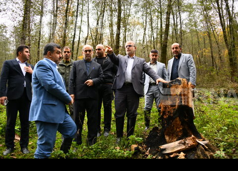 رسیدگی ویژه به پرونده متخلفان حوزه منابع طبیعی در محاکم قضایی مازندران