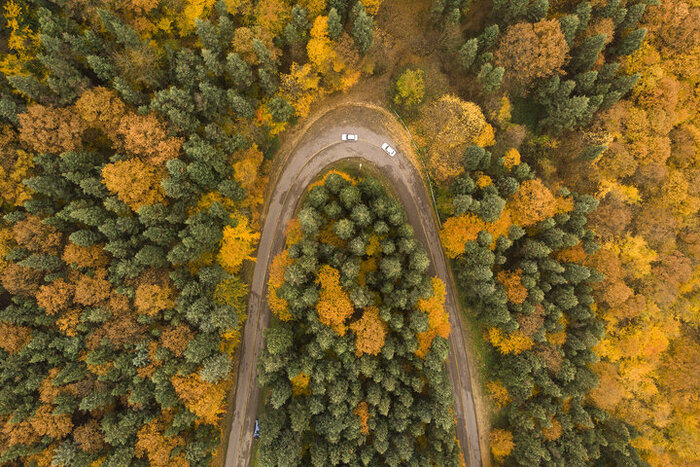 نگرانیها از ریشهکنی درختان در مرزنآباد/منابع طبیعی:برای جلوگیری از سیلاب درخت قطع کردیم