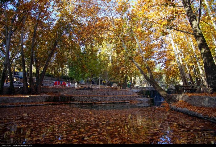 جشنوارهای شیرین در لنز دوربین