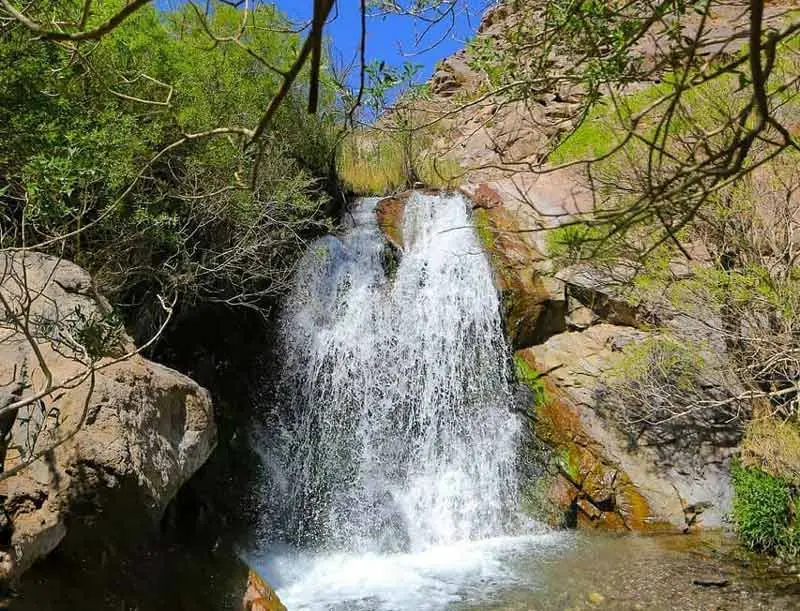 روستای کوهپایه؛ نگین سبز و درخشنده استان کرمان