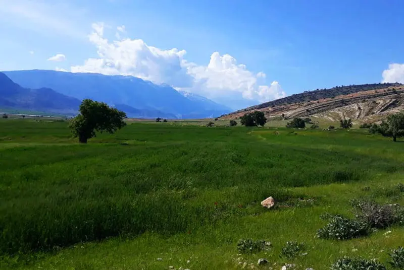 روستای کوهپایه؛ نگین سبز و درخشنده استان کرمان