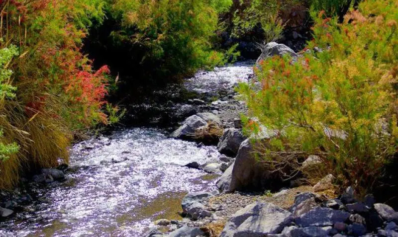 روستای کوهپایه؛ نگین سبز و درخشنده استان کرمان