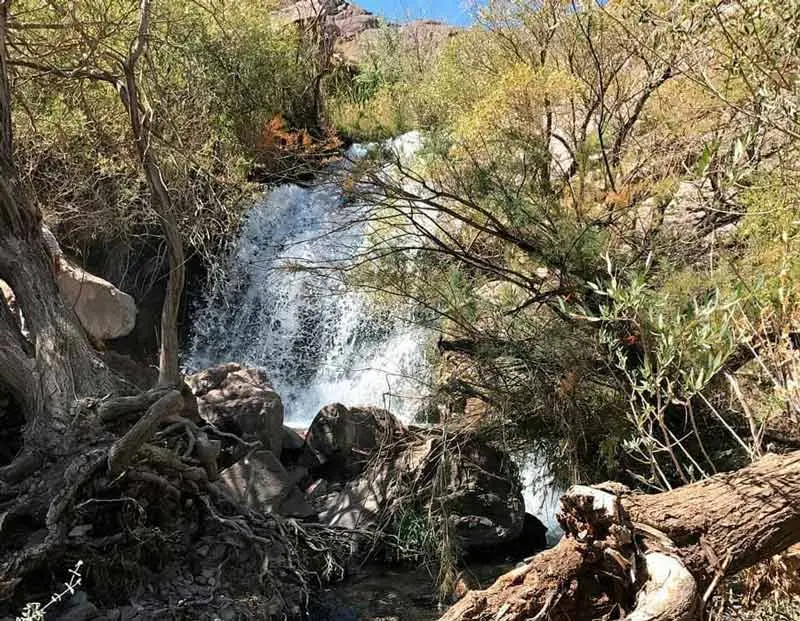 روستای کوهپایه؛ نگین سبز و درخشنده استان کرمان