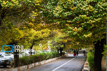 Autumn beauties in Iran’s Tabriz