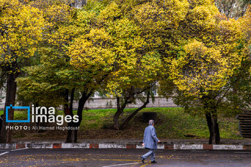 Autumn beauties in Iran’s Tabriz