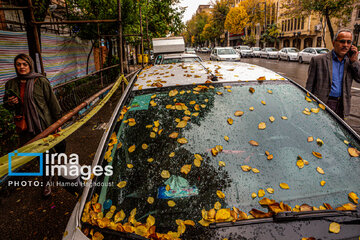 Autumn beauties in Iran’s Tabriz