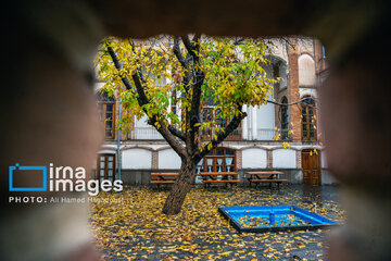 Autumn beauties in Iran’s Tabriz